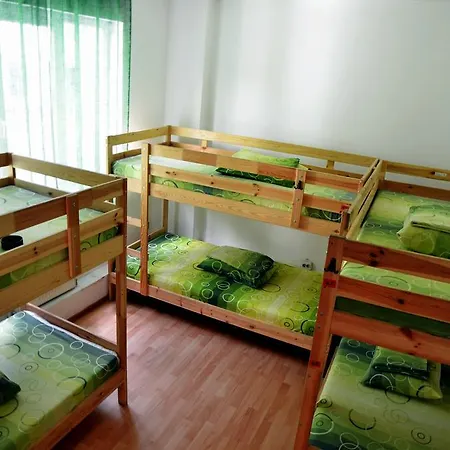 Hostel Bucur's Shelter *