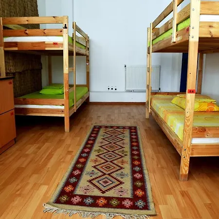 Hostel Bucur's Shelter *
